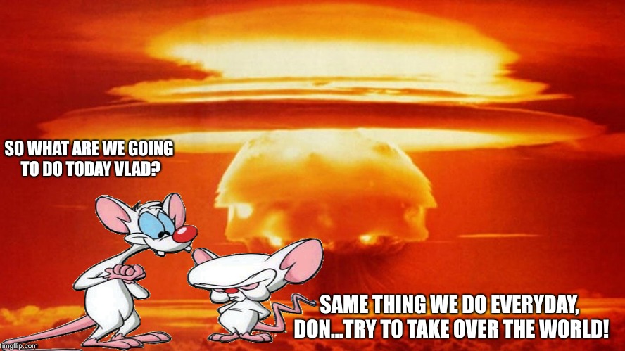 Summit sumtime sunshine | SO WHAT ARE WE GOING TO DO TODAY VLAD? SAME THING WE DO EVERYDAY, DON...TRY TO TAKE OVER THE WORLD! | image tagged in trump,vladimir putin,pinky and the brain,trump and putin | made w/ Imgflip meme maker
