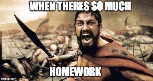 Sparta Leonidas Meme | WHEN THERES SO MUCH; HOMEWORK | image tagged in memes,sparta leonidas | made w/ Imgflip meme maker