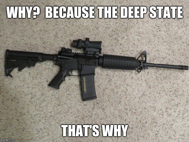Black Rifle | WHY?  BECAUSE THE DEEP STATE; THAT'S WHY | image tagged in black rifle | made w/ Imgflip meme maker