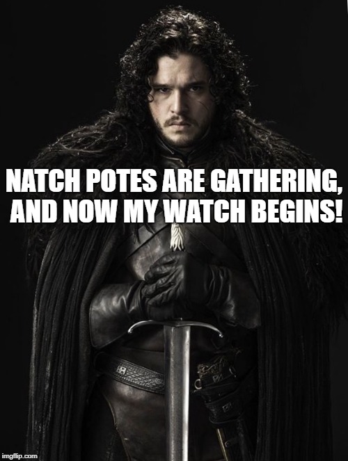 Game of thrones  | NATCH POTES ARE GATHERING, AND NOW MY WATCH BEGINS! | image tagged in game of thrones | made w/ Imgflip meme maker