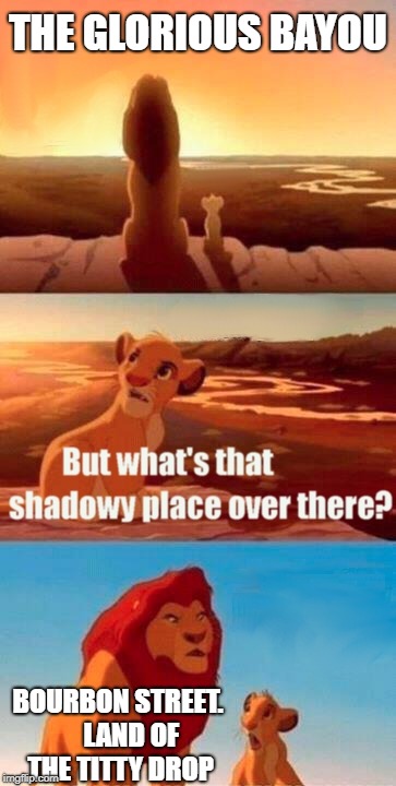 Simba Shadowy Place Meme | THE GLORIOUS BAYOU; BOURBON STREET.     LAND OF THE TITTY DROP | image tagged in memes,simba shadowy place,bourbon,new orleans,tits,funny memes | made w/ Imgflip meme maker