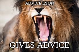 Advice LYON | ADVICE LYON; GIVES ADVICE | image tagged in lion | made w/ Imgflip meme maker