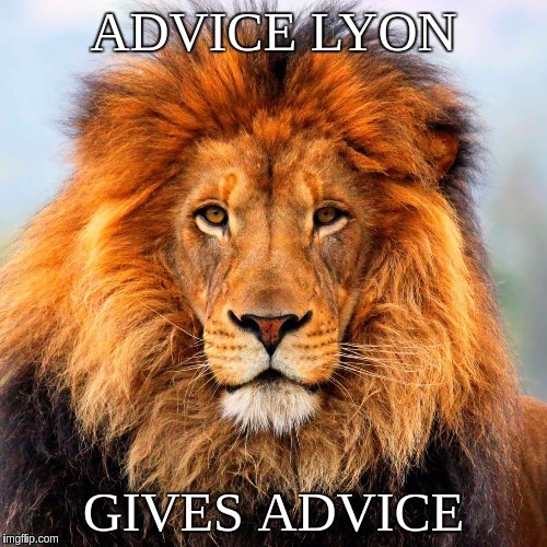 ADVICE LYON | ADVICE LYON; GIVES ADVICE | image tagged in lion | made w/ Imgflip meme maker