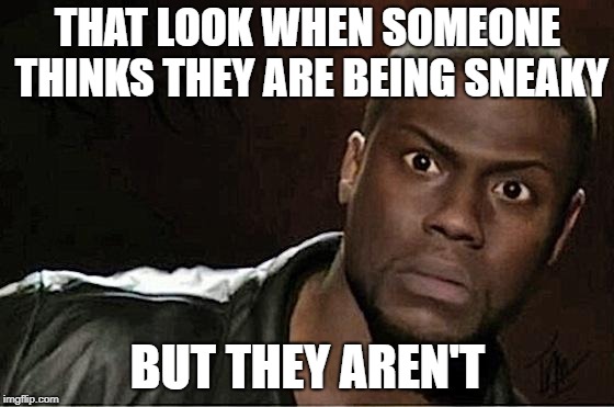 Kevin Hart Meme | THAT LOOK WHEN SOMEONE THINKS THEY ARE BEING SNEAKY; BUT THEY AREN'T | image tagged in memes,kevin hart | made w/ Imgflip meme maker