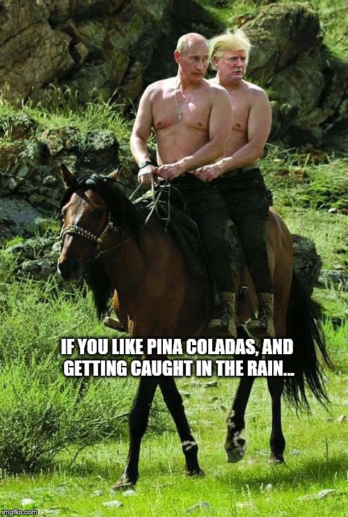 Trump Putin | IF YOU LIKE PINA COLADAS, AND GETTING CAUGHT IN THE RAIN... | image tagged in trump putin | made w/ Imgflip meme maker