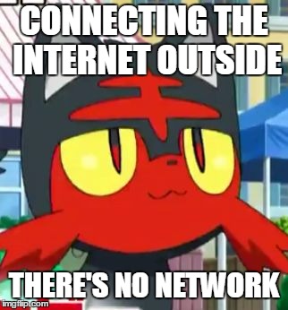 connecting the internet outside, there's no network | CONNECTING THE INTERNET OUTSIDE; THERE'S NO NETWORK | image tagged in litten | made w/ Imgflip meme maker