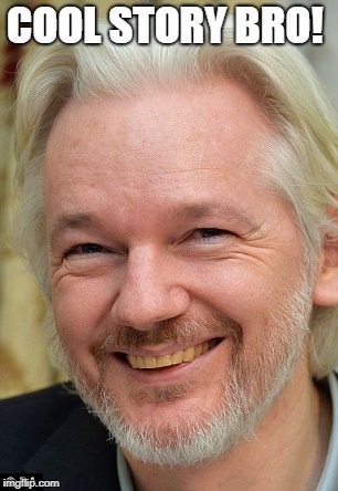 ASSange | COOL STORY BRO! | image tagged in assange | made w/ Imgflip meme maker