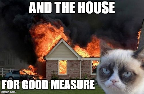 Burn Kitty Meme | AND THE HOUSE FOR GOOD MEASURE | image tagged in memes,burn kitty,grumpy cat | made w/ Imgflip meme maker