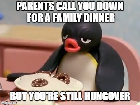Pingu | PARENTS CALL YOU DOWN FOR A FAMILY DINNER; BUT YOU'RE STILL HUNGOVER | image tagged in pingu | made w/ Imgflip meme maker