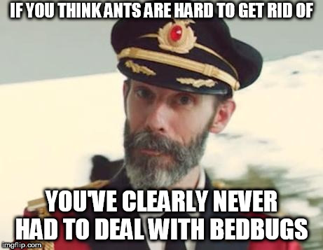 Captain Obvious | IF YOU THINK ANTS ARE HARD TO GET RID OF; YOU'VE CLEARLY NEVER HAD TO DEAL WITH BEDBUGS | image tagged in captain obvious,bugs | made w/ Imgflip meme maker