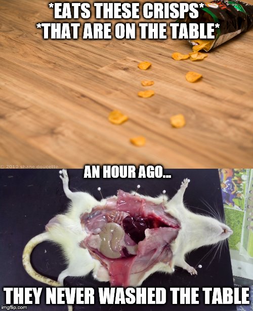 Why teachers tell you to never eat in science class (imagine the tables are the same) | *EATS THESE CRISPS* *THAT ARE ON THE TABLE*; AN HOUR AGO... THEY NEVER WASHED THE TABLE | image tagged in ewwww,eww,memes,funny,disgusting,biology | made w/ Imgflip meme maker