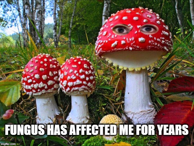 Perhaps it's the Mandela Effect | FUNGUS HAS AFFECTED ME FOR YEARS | image tagged in amanita muscaria,mushrooms,fungus,overly attached girlfriend,psychedelic,psy horse dance | made w/ Imgflip meme maker