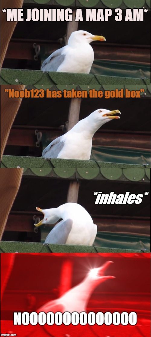 Inhaling Seagull | *ME JOINING A MAP 3 AM*; ''Noob123 has taken the gold box''; *inhales*; NOOOOOOOOOOOOOO | image tagged in memes,inhaling seagull | made w/ Imgflip meme maker