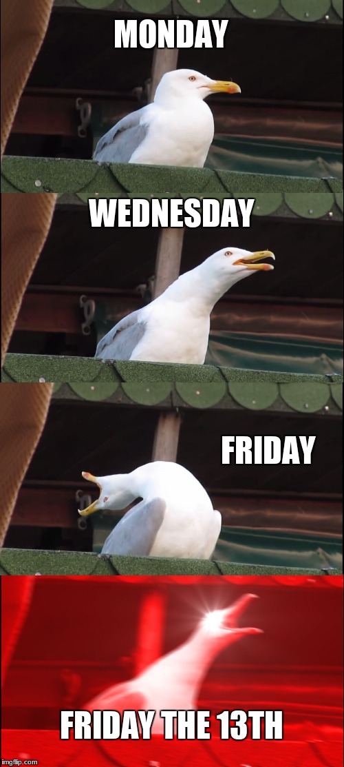 Inhaling Seagull Meme | MONDAY; WEDNESDAY; FRIDAY; FRIDAY THE 13TH | image tagged in memes,inhaling seagull | made w/ Imgflip meme maker