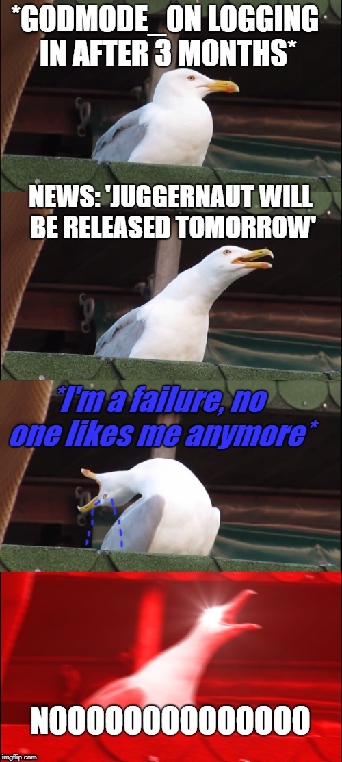 2e6hfk.jpg