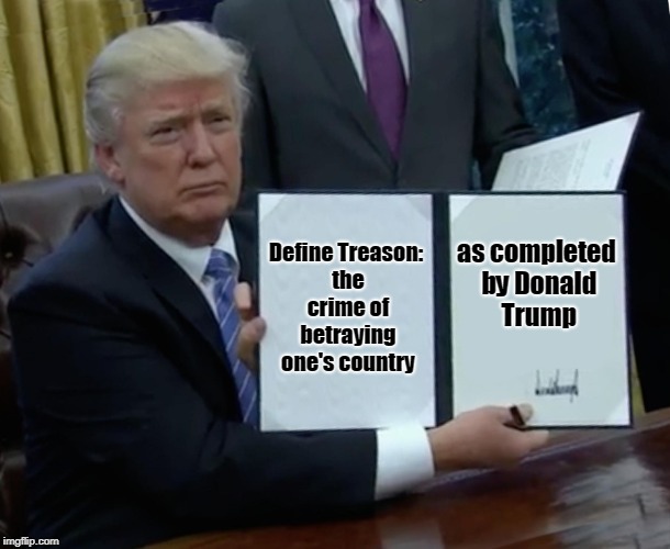Trump Bill Signing | Define Treason: the crime of betraying one's country; as completed by Donald Trump | image tagged in memes,trump bill signing | made w/ Imgflip meme maker