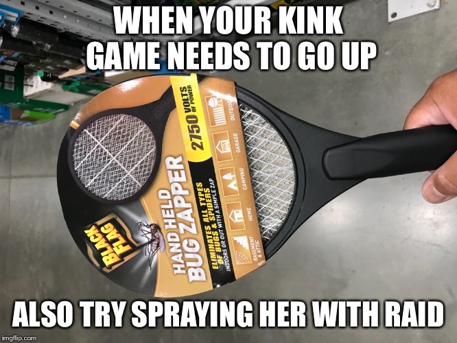 Kink level up | WHEN YOUR KINK GAME NEEDS TO GO UP; ALSO TRY SPRAYING HER WITH RAID | image tagged in kinky,spanking | made w/ Imgflip meme maker