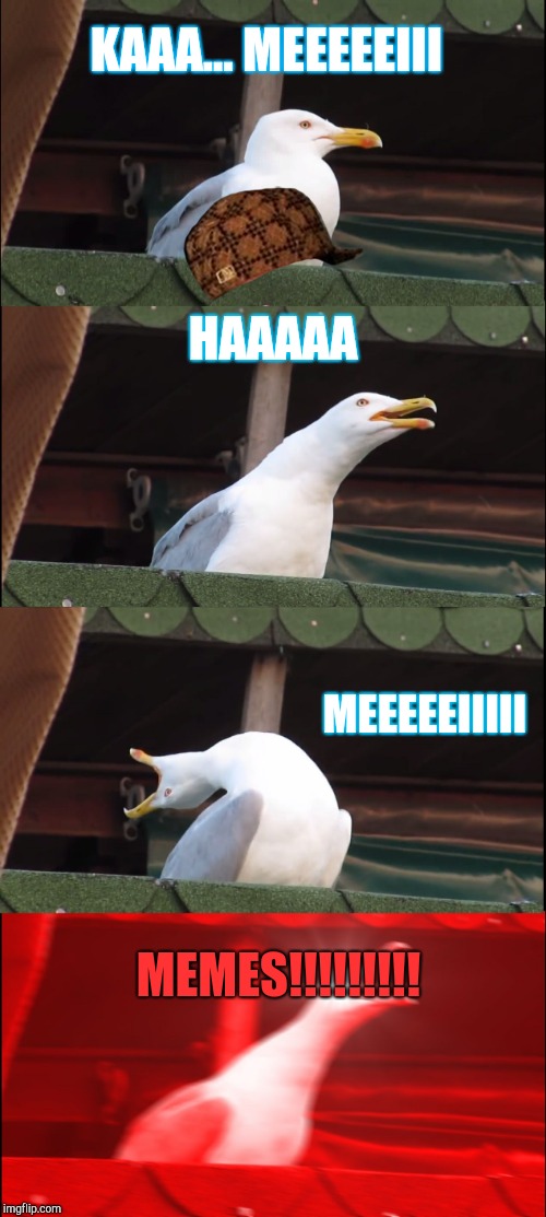 Inhaling Seagull Meme | KAAA... MEEEEEIII; HAAAAA; MEEEEEIIIII; MEMES!!!!!!!!! | image tagged in memes,inhaling seagull,scumbag | made w/ Imgflip meme maker
