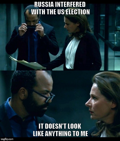 WestWorld: Doesn't look like anything to me | RUSSIA INTERFERED WITH THE US ELECTION; IT DOESN'T LOOK LIKE ANYTHING TO ME | image tagged in westworld doesn't look like anything to me | made w/ Imgflip meme maker