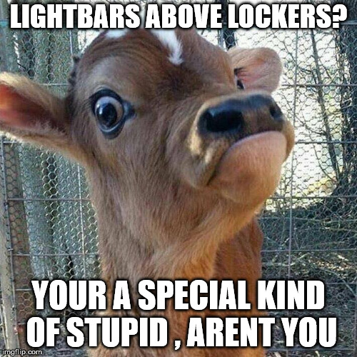 LIGHTBARS ABOVE LOCKERS? YOUR A SPECIAL KIND OF STUPID , ARENT YOU | image tagged in drrrrrr | made w/ Imgflip meme maker
