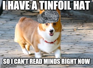 Chessie The Corgi | I HAVE A TINFOIL HAT; SO I CAN'T READ MINDS RIGHT NOW | image tagged in chessie the corgi,tinfoil hat,mind reading | made w/ Imgflip meme maker
