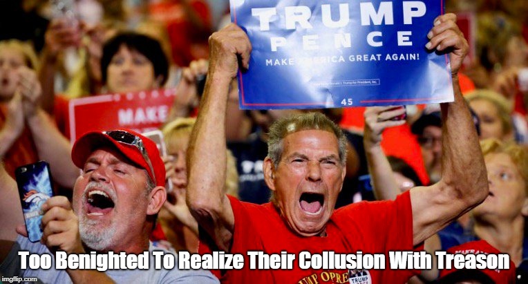 Too Benighted To Realize Their Collusion With Treason | made w/ Imgflip meme maker