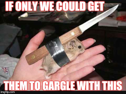 Lock and Load Hamster | IF ONLY WE COULD GET THEM TO GARGLE WITH THIS | image tagged in lock and load hamster | made w/ Imgflip meme maker