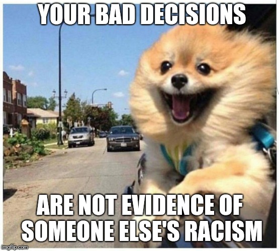 The medical profession is racist because African-American didn't accept pre-natal care and died? | YOUR BAD DECISIONS; ARE NOT EVIDENCE OF SOMEONE ELSE'S RACISM | image tagged in bad decisions dog | made w/ Imgflip meme maker