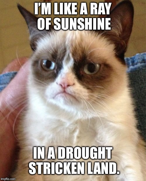 Grumpy Cat Meme | I’M LIKE A RAY OF SUNSHINE; IN A DROUGHT STRICKEN LAND. | image tagged in memes,grumpy cat | made w/ Imgflip meme maker