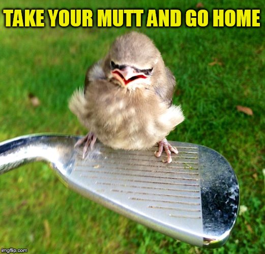 TAKE YOUR MUTT AND GO HOME | made w/ Imgflip meme maker