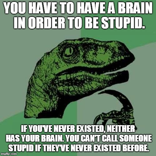 A Quick Title | YOU HAVE TO HAVE A BRAIN IN ORDER TO BE STUPID. IF YOU'VE NEVER EXISTED, NEITHER HAS YOUR BRAIN. YOU CAN'T CALL SOMEONE STUPID IF THEY'VE NEVER EXISTED BEFORE. | image tagged in memes,philosoraptor,brain,stupid,fake,smart | made w/ Imgflip meme maker