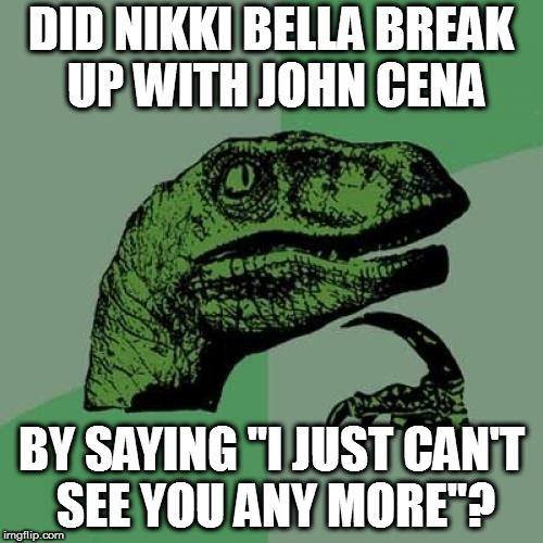 Philosoraptor Meme | DID NIKKI BELLA BREAK UP WITH JOHN CENA; BY SAYING "I JUST CAN'T SEE YOU ANY MORE"? | image tagged in memes,philosoraptor | made w/ Imgflip meme maker