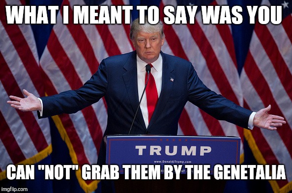 Sometimes I just say shit. Get over it. Dumbass | WHAT I MEANT TO SAY WAS YOU; CAN "NOT" GRAB THEM BY THE GENETALIA | image tagged in donald trump,dump trump | made w/ Imgflip meme maker