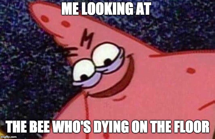 Evil Patrick  | ME LOOKING AT; THE BEE WHO'S DYING ON THE FLOOR | image tagged in evil patrick | made w/ Imgflip meme maker