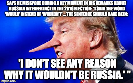Trump Pinoccio | SAYS HE MISSPOKE DURING A KEY MOMENT IN HIS REMARKS ABOUT RUSSIAN INTERFERENCE IN THE 2016 ELECTION: "I SAID THE WORD ‘WOULD’ INSTEAD OF 'WOULDN'T' ... THE SENTENCE SHOULD HAVE BEEN:; 'I DON’T SEE ANY REASON WHY IT WOULDN’T BE RUSSIA.' " | image tagged in trump pinoccio | made w/ Imgflip meme maker