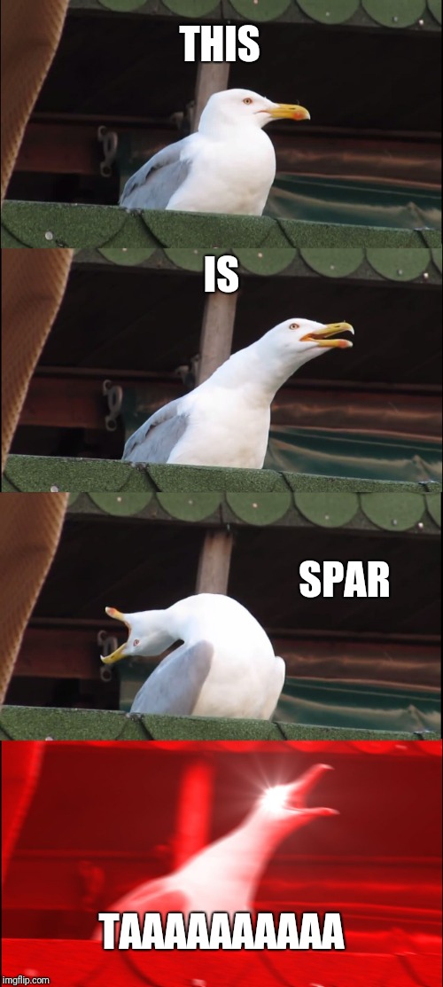Inhaling Seagull | THIS; IS; SPAR; TAAAAAAAAAA | image tagged in memes,inhaling seagull | made w/ Imgflip meme maker