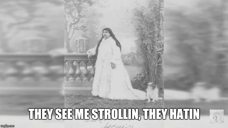 THEY SEE ME STROLLIN,
THEY HATIN | image tagged in princess | made w/ Imgflip meme maker