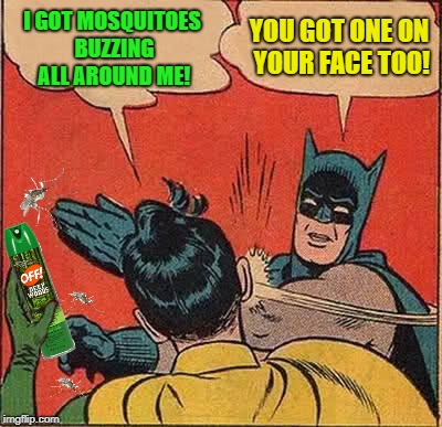 Get off me! | I GOT MOSQUITOES BUZZING ALL AROUND ME! YOU GOT ONE ON YOUR FACE TOO! | image tagged in funny memes,batman slapping robin,mosquitoes,mosquito attack,summer time | made w/ Imgflip meme maker