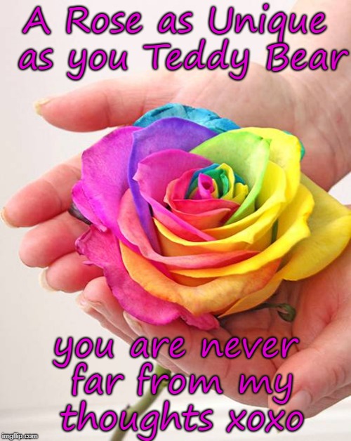 A Rose as Unique as you Teddy Bear; you are never far from my thoughts xoxo | image tagged in raibowrose | made w/ Imgflip meme maker