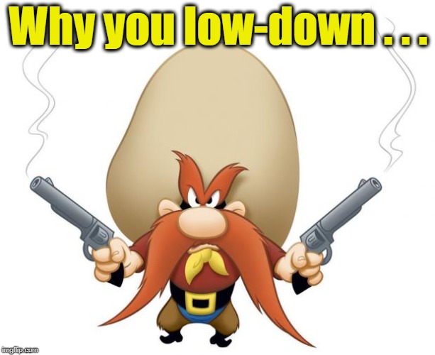 Yosemite Sam | Why you low-down . . . | image tagged in yosemite sam | made w/ Imgflip meme maker