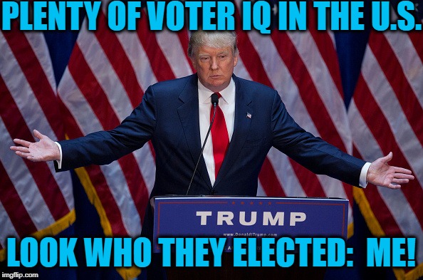 Donald Trump | PLENTY OF VOTER IQ IN THE U.S. LOOK WHO THEY ELECTED:  ME! | image tagged in donald trump | made w/ Imgflip meme maker