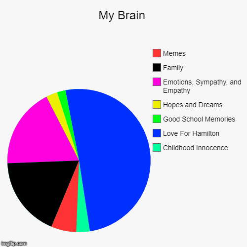 My Brain | Childhood Innocence, Love For Hamilton, Good School Memories, Hopes and Dreams, Emotions, Sympathy, and Empathy, Family, Memes | image tagged in funny,pie charts | made w/ Imgflip chart maker