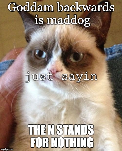 Grumpy Cat | Goddam backwards is maddog; just sayin; THE N STANDS FOR NOTHING | image tagged in memes,grumpy cat | made w/ Imgflip meme maker