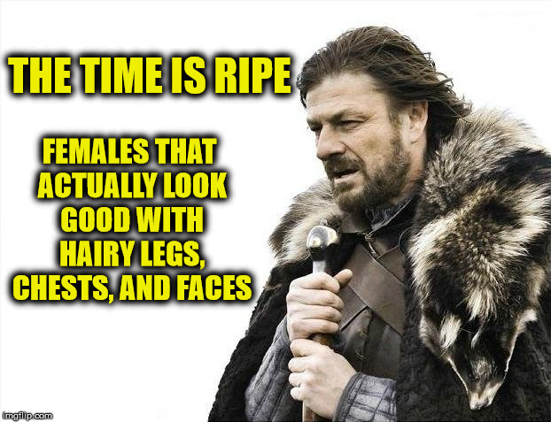 Brace Yourselves X is Coming Meme | THE TIME IS RIPE FEMALES THAT ACTUALLY LOOK GOOD WITH HAIRY LEGS, CHESTS, AND FACES | image tagged in memes,brace yourselves x is coming | made w/ Imgflip meme maker