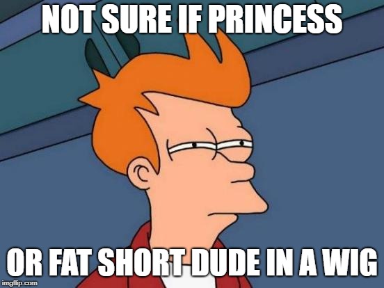 Futurama Fry Meme | NOT SURE IF PRINCESS OR FAT SHORT DUDE IN A WIG | image tagged in memes,futurama fry | made w/ Imgflip meme maker