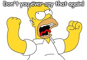 Angry homer | Don't you ever say that again! | image tagged in angry homer | made w/ Imgflip meme maker