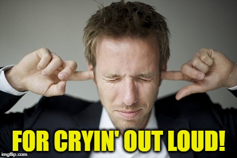 Man Blocking Ears | FOR CRYIN' OUT LOUD! | image tagged in man blocking ears | made w/ Imgflip meme maker