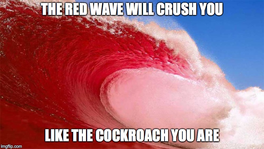 THE RED WAVE WILL CRUSH YOU LIKE THE COCKROACH YOU ARE | made w/ Imgflip meme maker