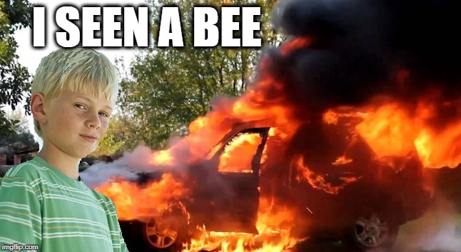 vengeful child | I SEEN A BEE | image tagged in vengeful child | made w/ Imgflip meme maker