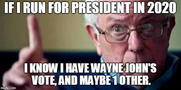 Bernie Sanders | IF I RUN FOR PRESIDENT IN 2020; I KNOW I HAVE WAYNE JOHN'S VOTE, AND MAYBE 1 OTHER. | image tagged in bernie sanders | made w/ Imgflip meme maker